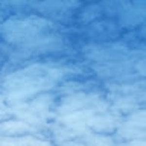 Meet your Posher, Bridget